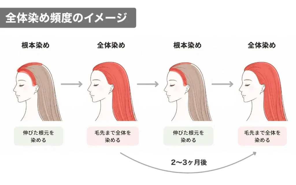 全体染めの頻度のイメージ