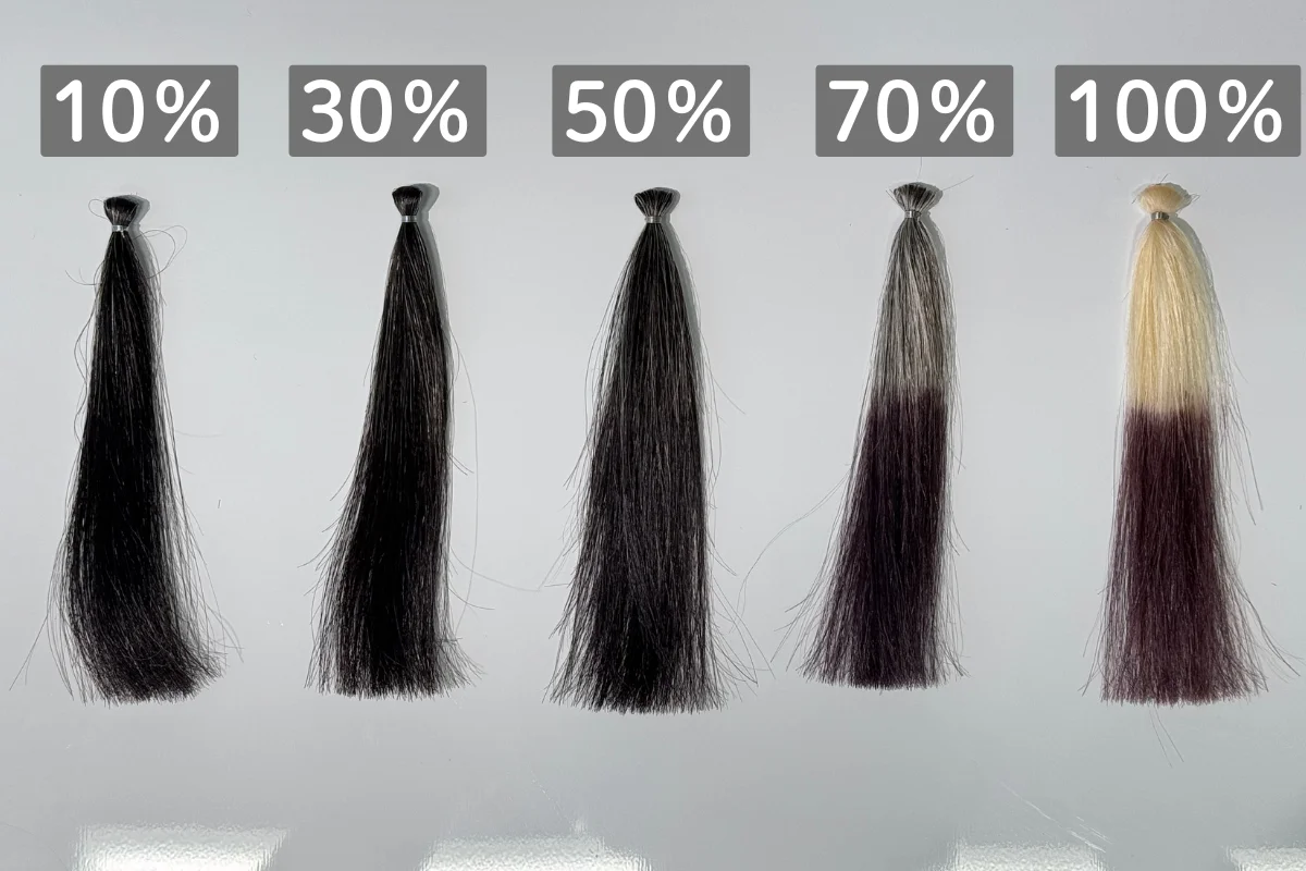 シエロ カラートリートメント ダークブラウンの白髪率10％、30％、50％、70％、100％の毛束の染め上がりを左から順に並べた比較写真