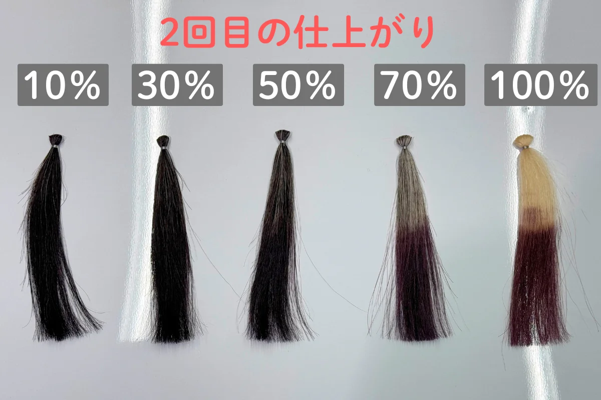 シエロ サロン プラス カラートリートメント ダークブラウンの全体比較・2回目の仕上がり
