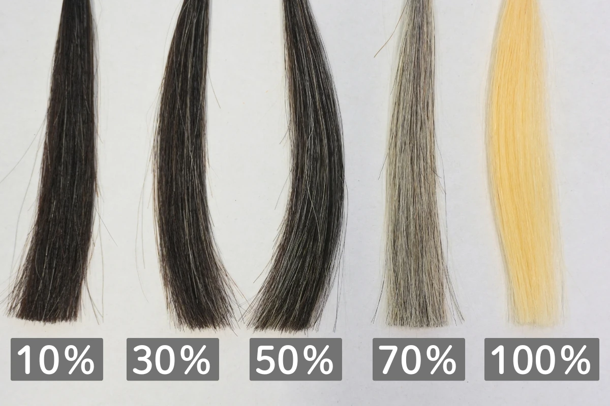 シエロ カラートリートメント ナチュラルブラウンを使う前の白髪率10％・30％・50％・70％・100％表示の毛束