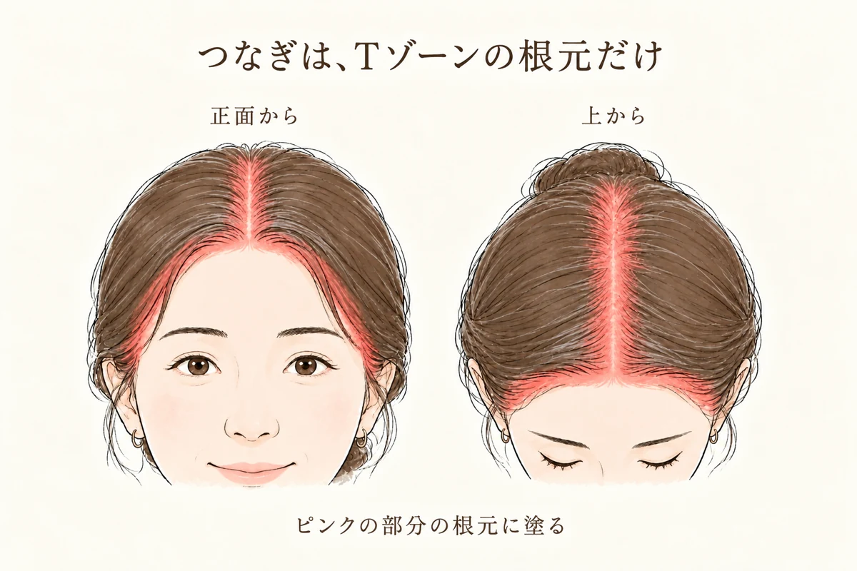 つなぎで塗るのはTゾーン(分け目・つむじ・顔まわり・もみあげ・こめかみ)の根元だけ